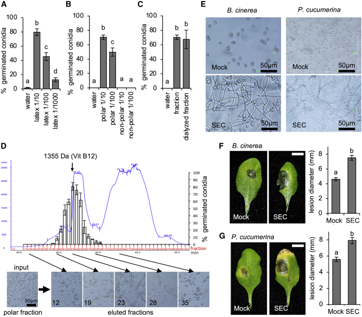 Figure 6