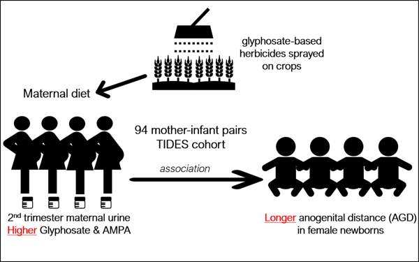 graphic file with name nihms-1692817-f0001.jpg