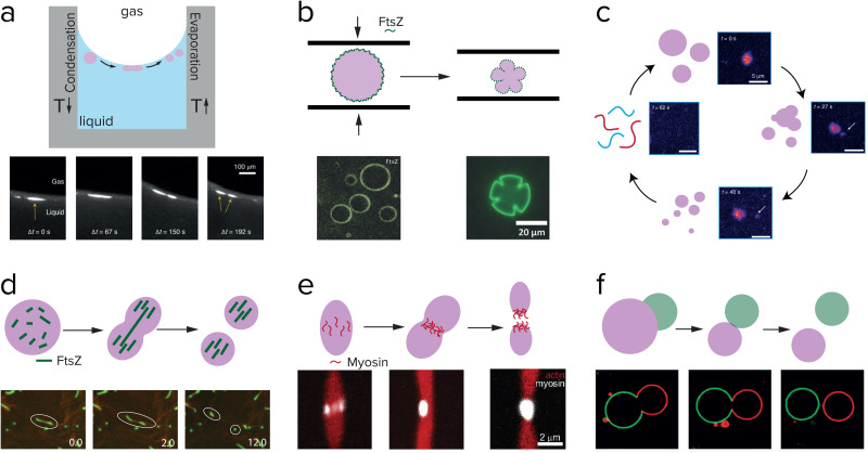 Fig. 10