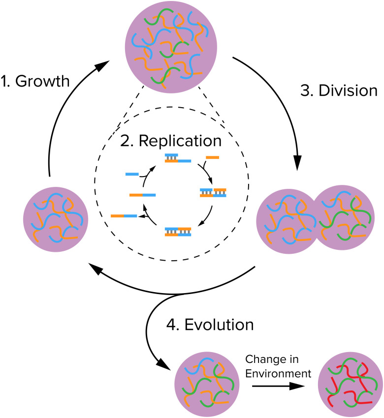 Fig. 1