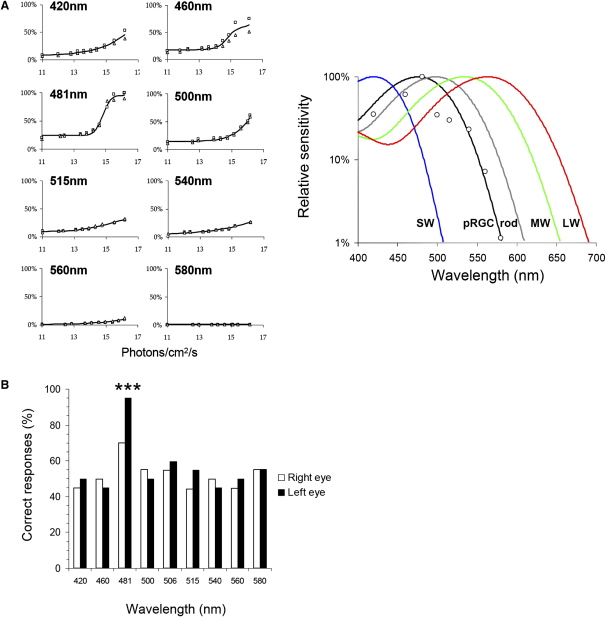 Figure 4