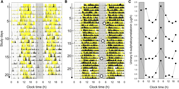 Figure 2