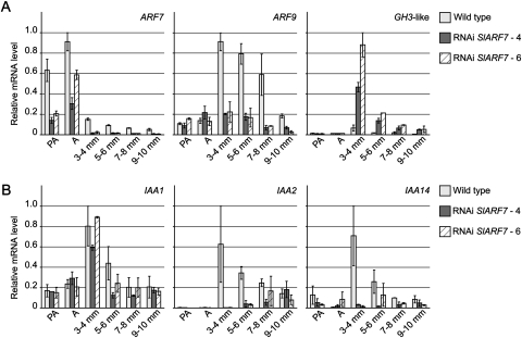 Fig. 3.