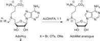 Scheme 9