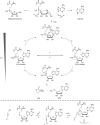 Scheme 7