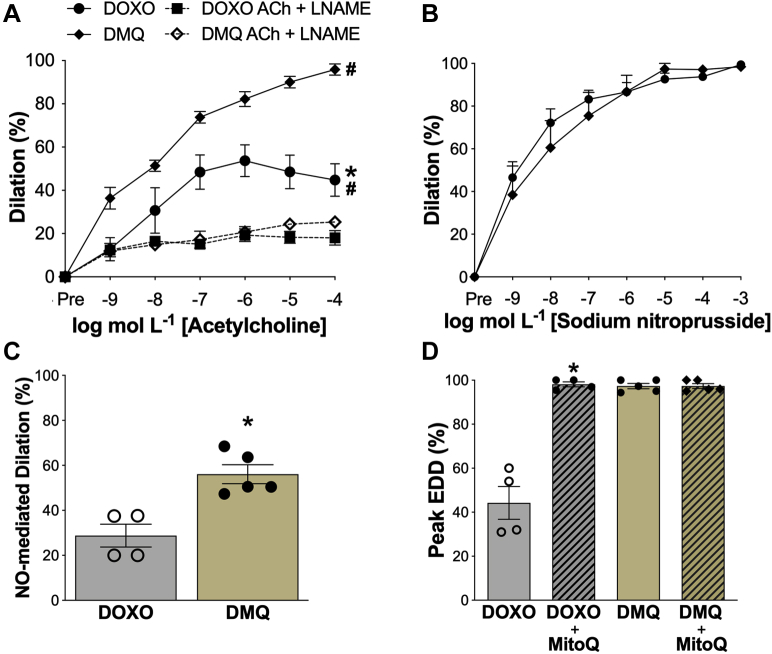 Figure 6