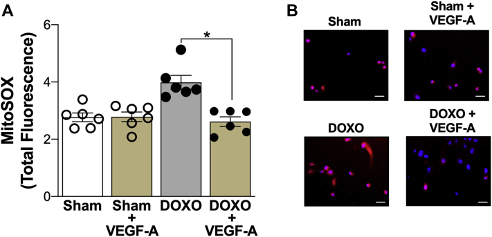 Figure 5