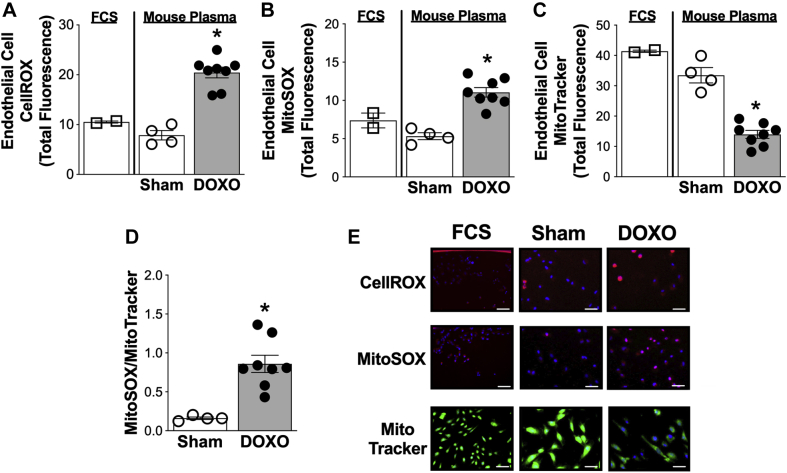 Figure 4