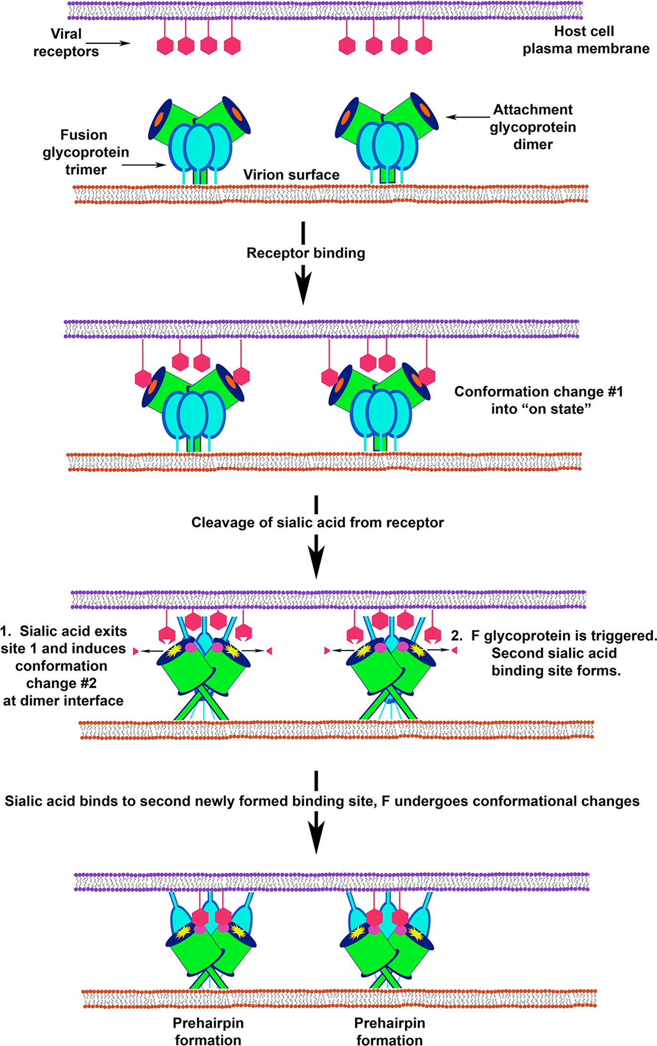 Figure 6.