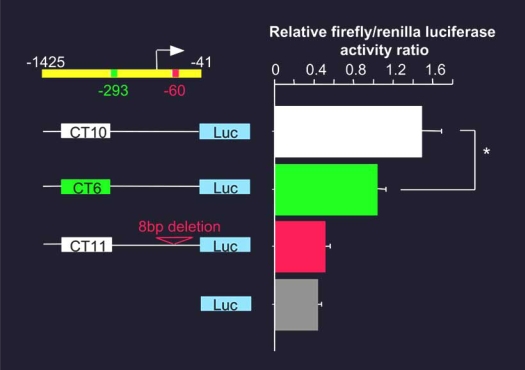 Fig. (5)