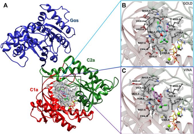 FIGURE 5