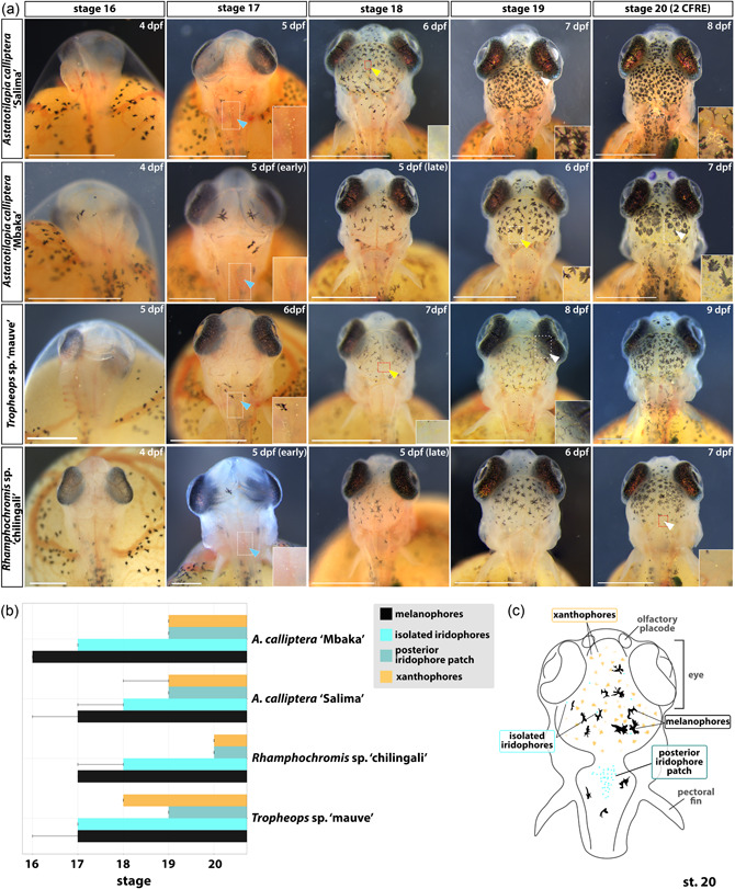 Figure 11