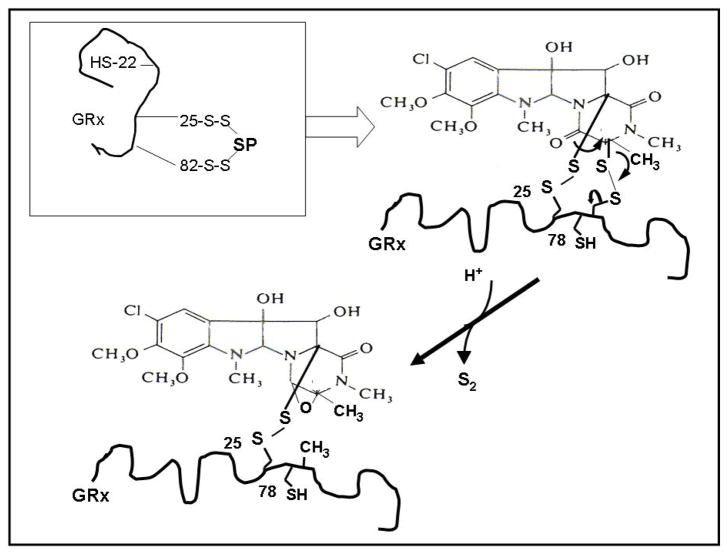 Figure 12