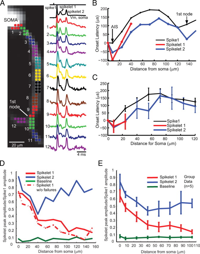 Figure 6.