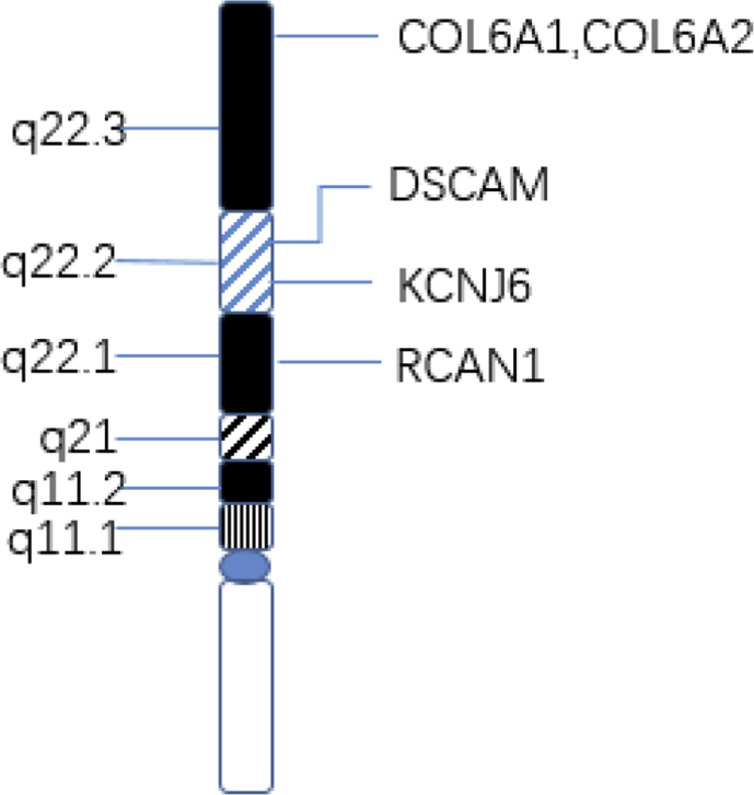 Figure 1