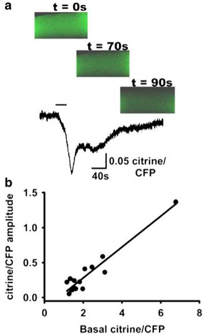 Fig. 8