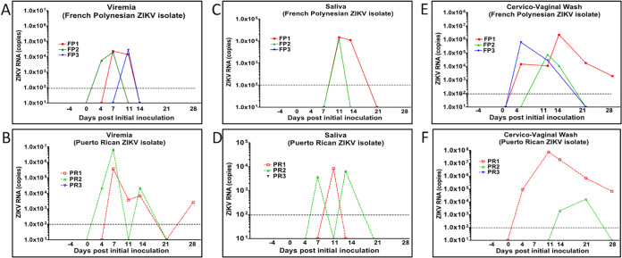 FIG 2