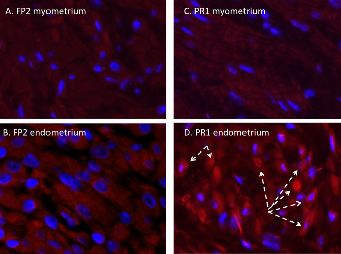 FIG 6