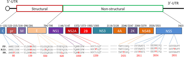 FIG 1