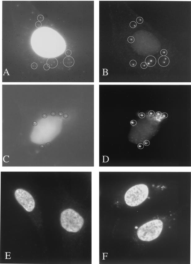 FIG. 5.