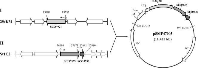 FIG. 5.