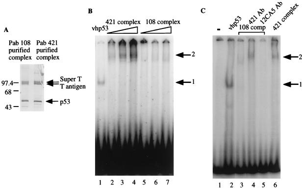 FIG. 6