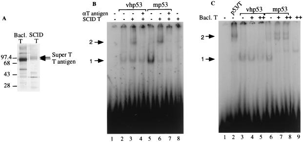 FIG. 5