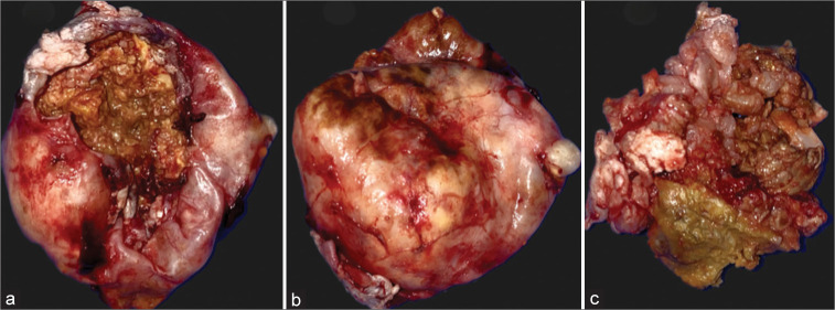 Figure 2: