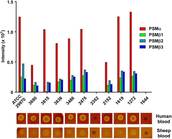 Figure 5