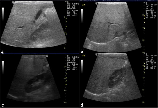 Fig. 8