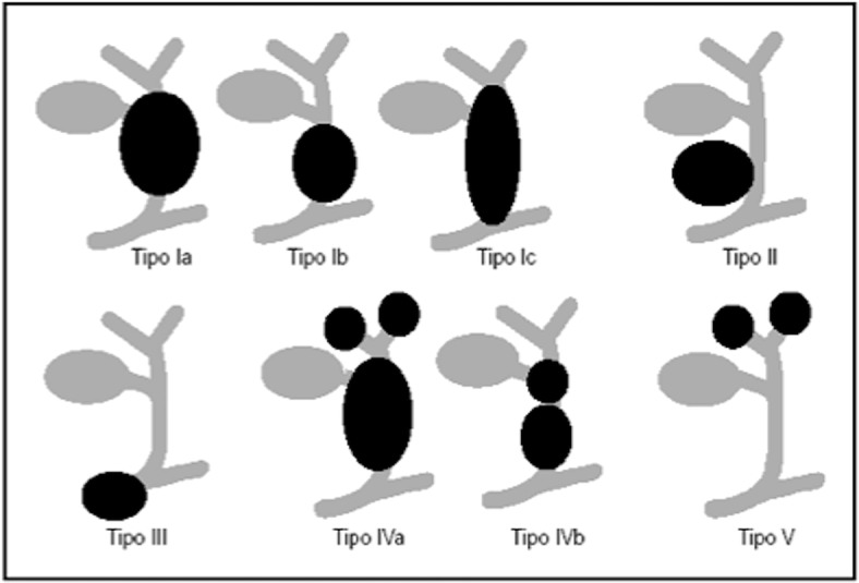 Fig. 22