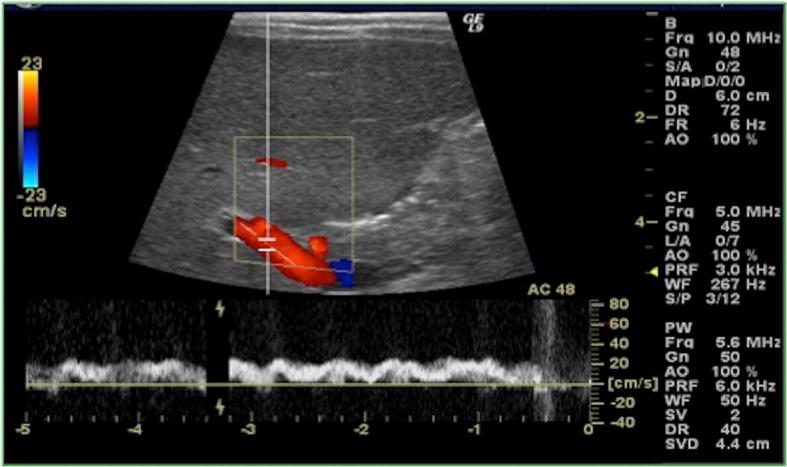 Fig. 5