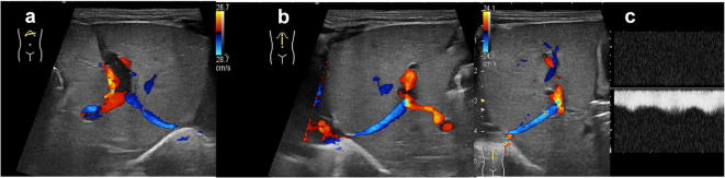 Fig. 6