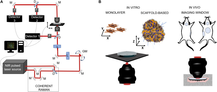 FIGURE 3