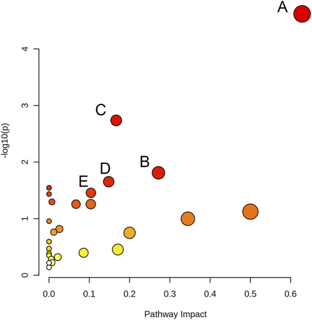 FIGURE 6