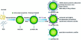 Fig. 7: