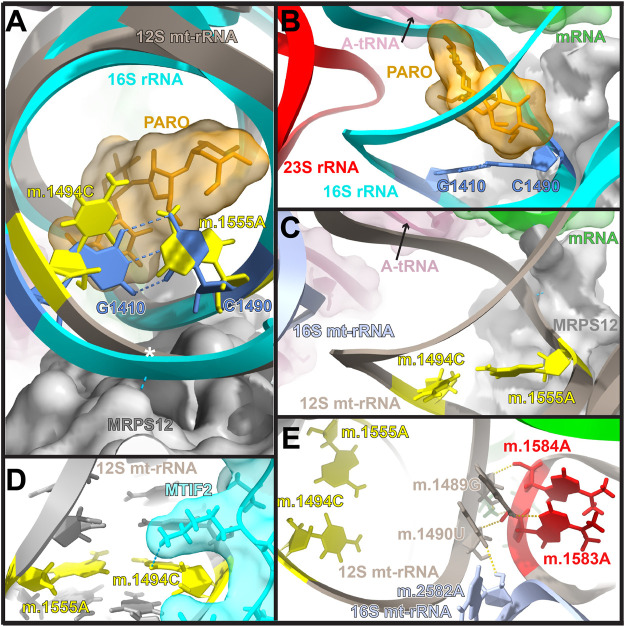 FIGURE 3