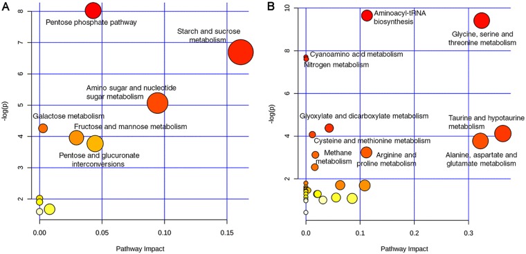 FIG 6