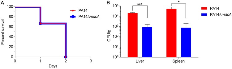 FIG 4