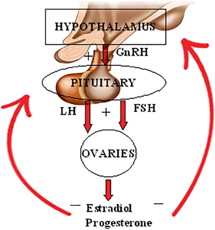 Figure 1.