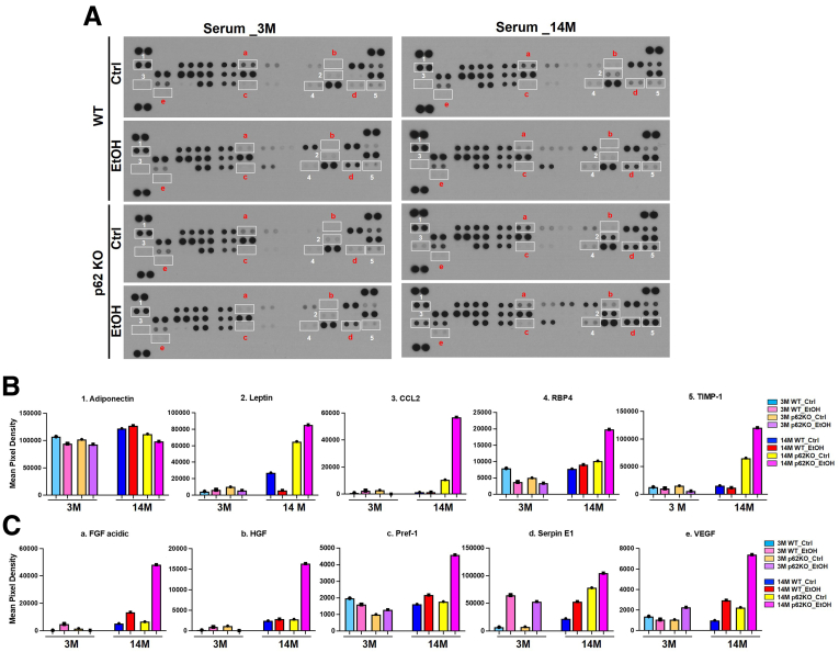 Figure 12