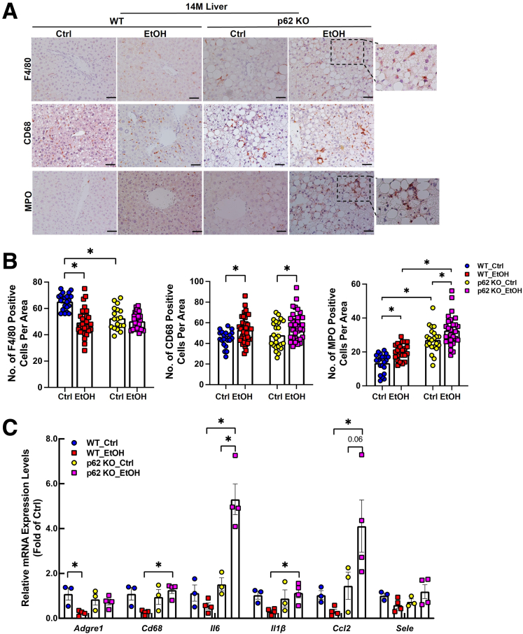 Figure 13