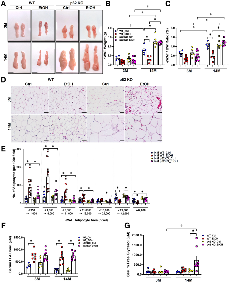 Figure 6