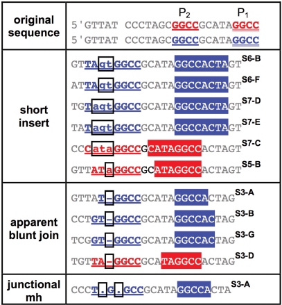 graphic file with name gkq379i1.jpg