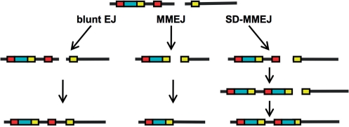 Figure 10.