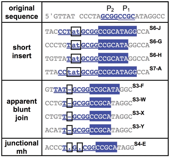 graphic file with name gkq379i3.jpg