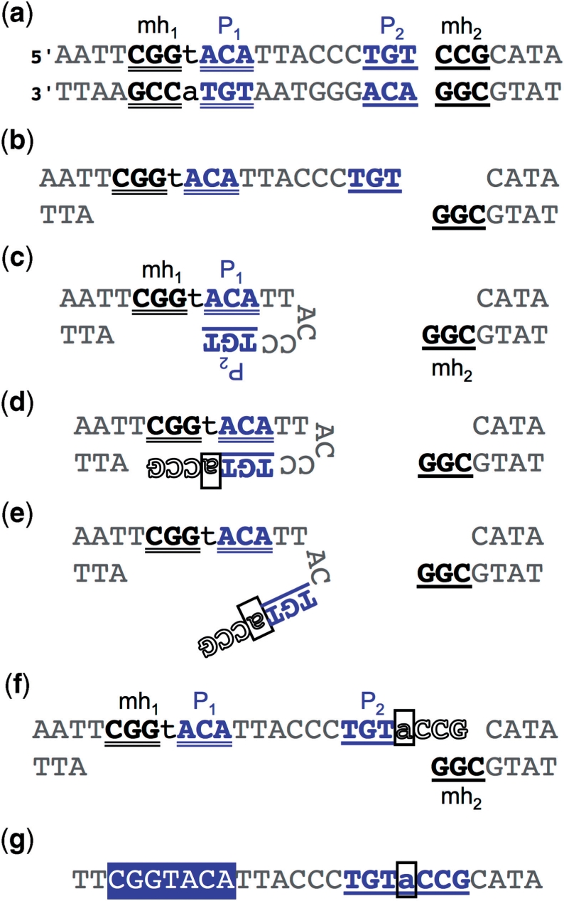 Figure 6.