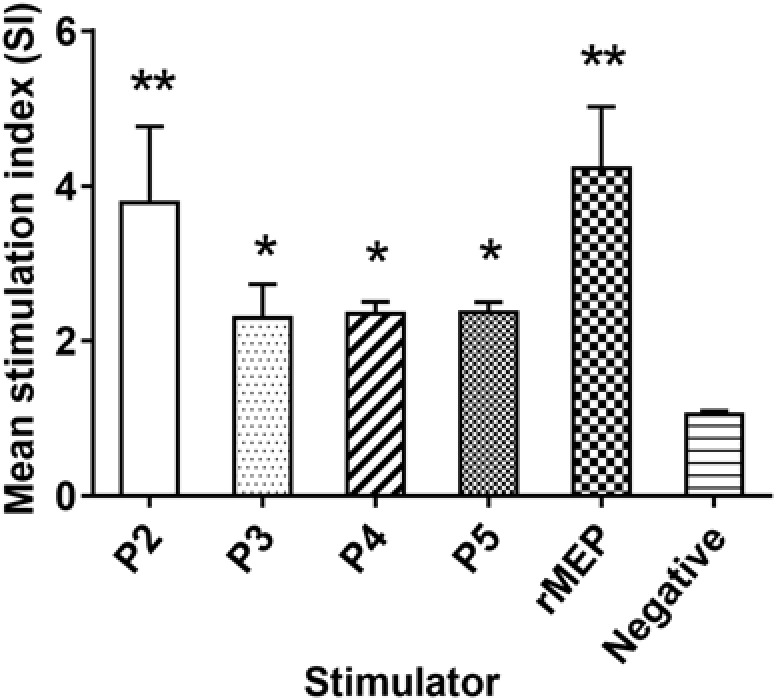 FIGURE 4