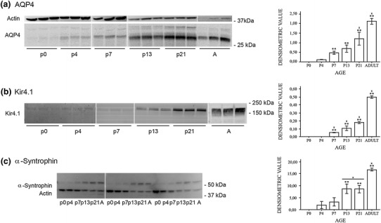 Fig. 7