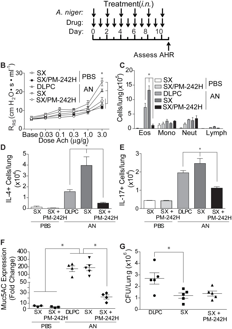 Fig 6